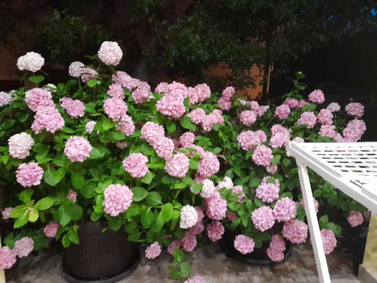 Apartman 1 Apartment Omisalj